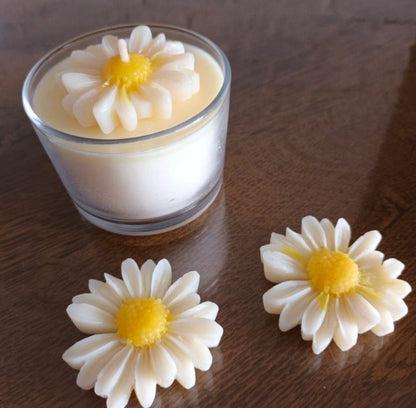 “Scented Jar Candles: Infuse Your Space with Warmth and Fragrance”