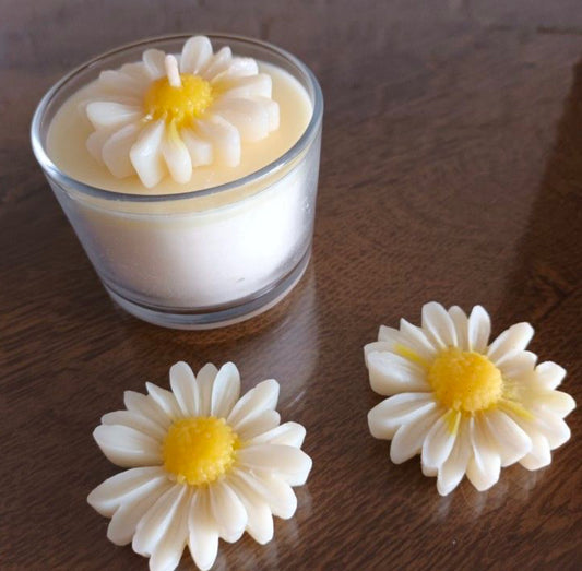 “Scented Jar Candles: Infuse Your Space with Warmth and Fragrance”